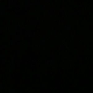 Meet your Posher, Dayanni